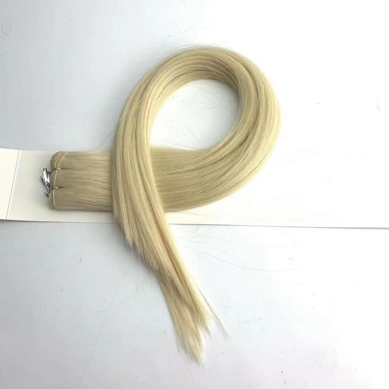 Hot selling platinum hand tied weft hair extensions for usa women HJ 027
